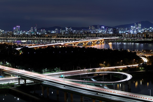 The Seoul Journal