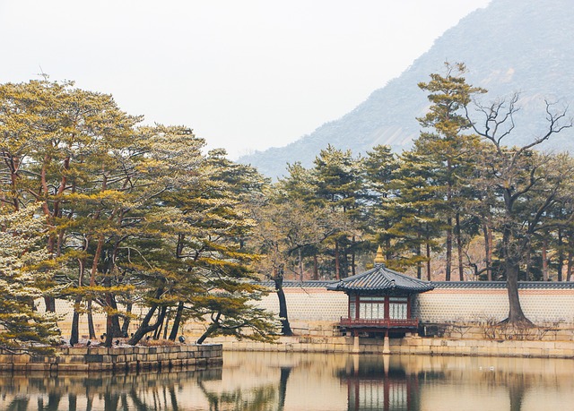 Seoul winter festival guide - Seoul Lifestyle