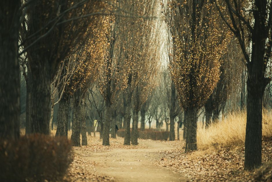 yeonnam-dong-residential-park-walk-1